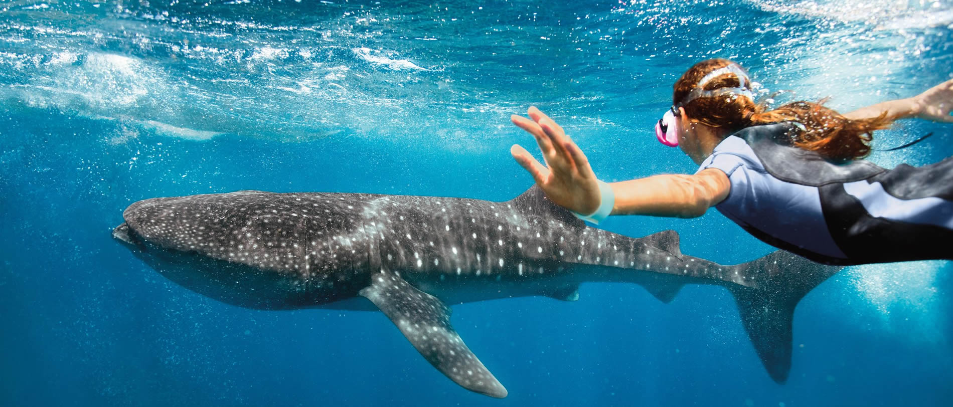 Caribbean Cruises Explore Tropical Paradises Direct Line Cruises